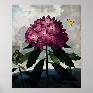 Templo De Arte Botánico De Flora Rhododendron