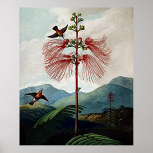 Templo De Arte Botánico De Una Planta Sensible A 
