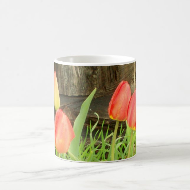 Temporada de primavera 2 Copa de Café (Centro)