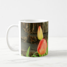 Temporada de primavera 2 Copa de Café