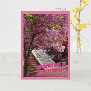 Temporada de primavera en Boston, MAMÁES