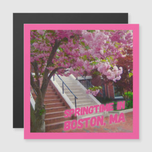 Temporada de primavera en Boston, MAMÁES