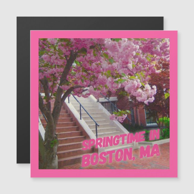 Temporada de primavera en Boston, MAMÁES (Anverso/Reverso)