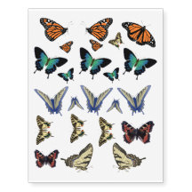 Tatuajes de la mariposa - mariposas; natural