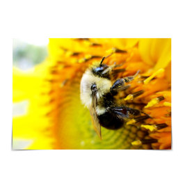 Ten una hermosa tarjeta de girasol Bumblebee