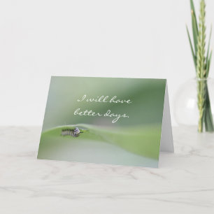 Tendré mejor tarjeta de los días