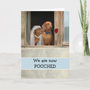 Tenemos Invitación casada con Dachshunds