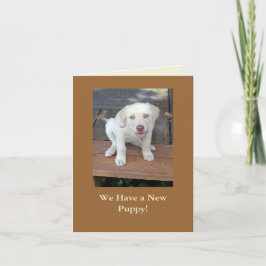 Tenemos un nuevo personalizable de la invitación