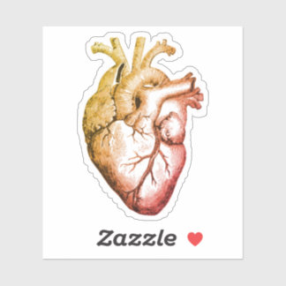 Tener un pegatina cardíaco