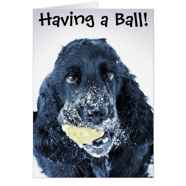 ¡Tener una bola! (Frente)