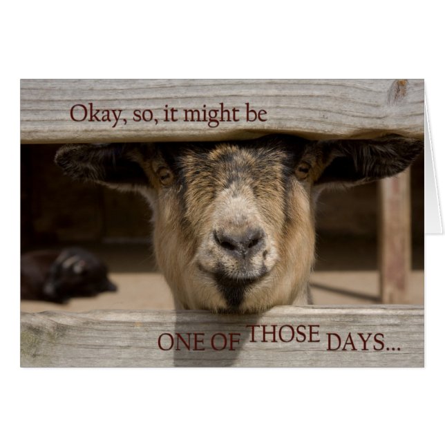 Tener uno de esos días (Anverso (Horizontal))