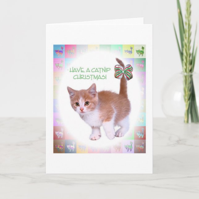 ¡Tenga navidad de un Catnip! (Anverso)