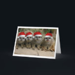 ¡Tenga navidad de un Meerkat!<br><div class="desc">¡Felices Navidad de la tarjeta de felicitación de Meerkats!</div>