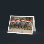 ¡Tenga navidad de un Meerkat!<br><div class="desc">¡Felices Navidad de la tarjeta de felicitación de Meerkats!</div>