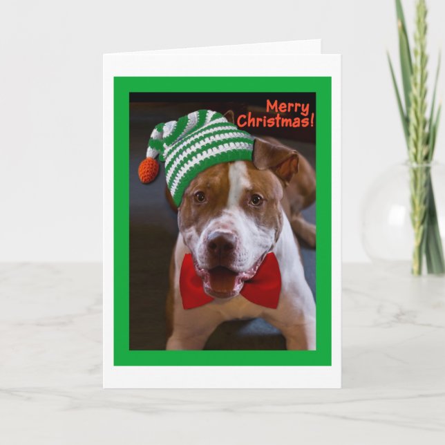 Tenga navidad de un pitbull (Anverso)