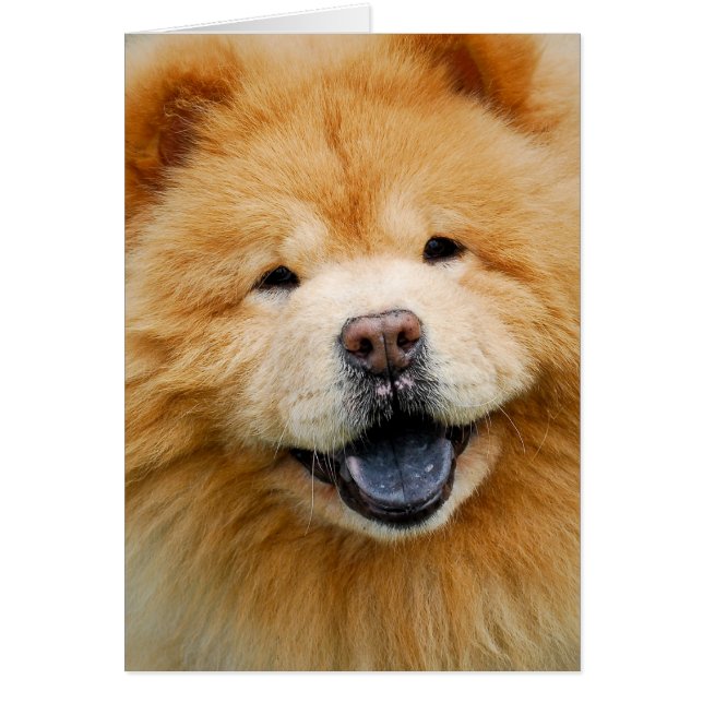 Tenga un feliz (Frente)