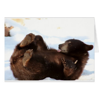 ¡¡¡Tengan un buen día de OSO!!!