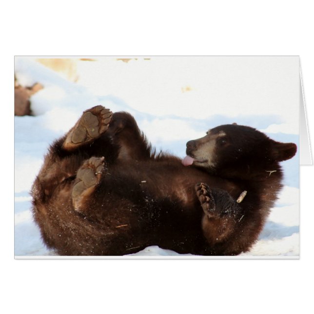 ¡¡¡Tengan un buen día de OSO!!! (Anverso (Horizontal))