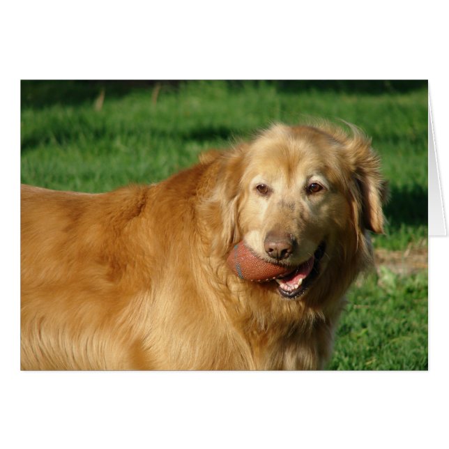 Tengo mi fútbol (Anverso (Horizontal))