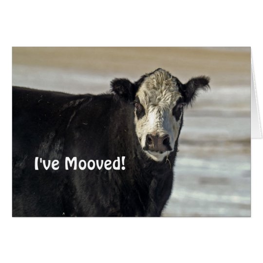 ¡Tengo Mooved! Tarjeta de felicitación