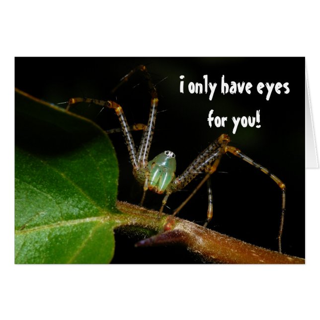 Tengo solamente ojos para usted (Anverso (Horizontal))