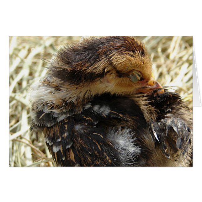 Tengo un picor (Anverso (Horizontal))