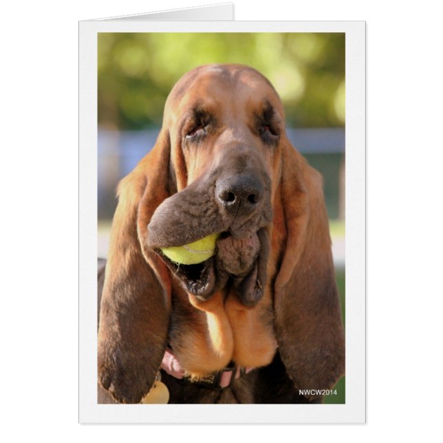 ¿Tenis, alguien? (Frente)