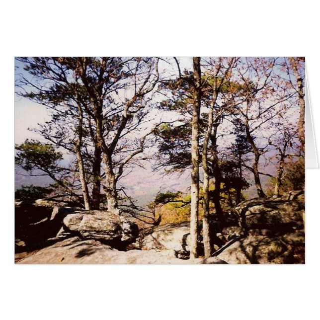 Tennessee Wilds (Anverso (Horizontal))