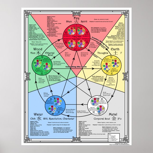 Teoría de los Cinco Elementos para Póster de Acupr (Frente)