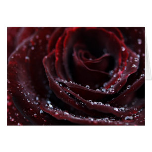 Terciopelo rojo