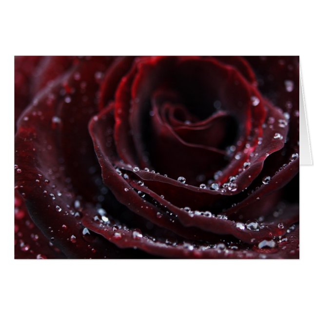 Terciopelo rojo (Anverso (Horizontal))