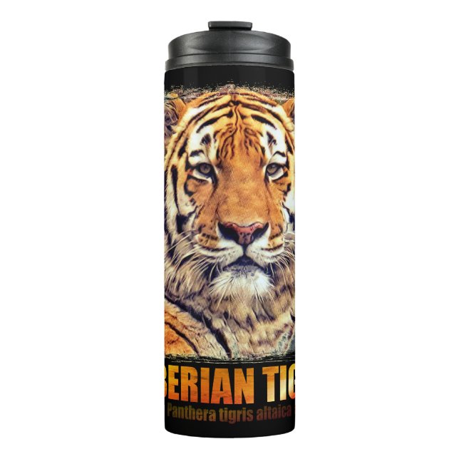 TERMO シベリアン・タイガー (Anverso)