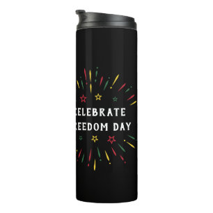 Termo 19 de junio de 1865 Fuegos artificiales de histori