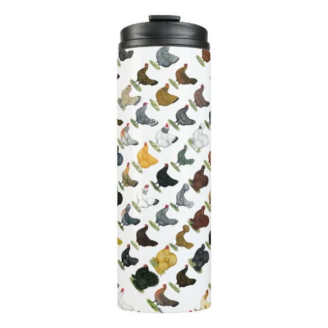 Termo 49 gallinas (Anverso)