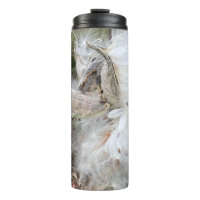 Abrir Pods Milkweed | Semillas con seda |