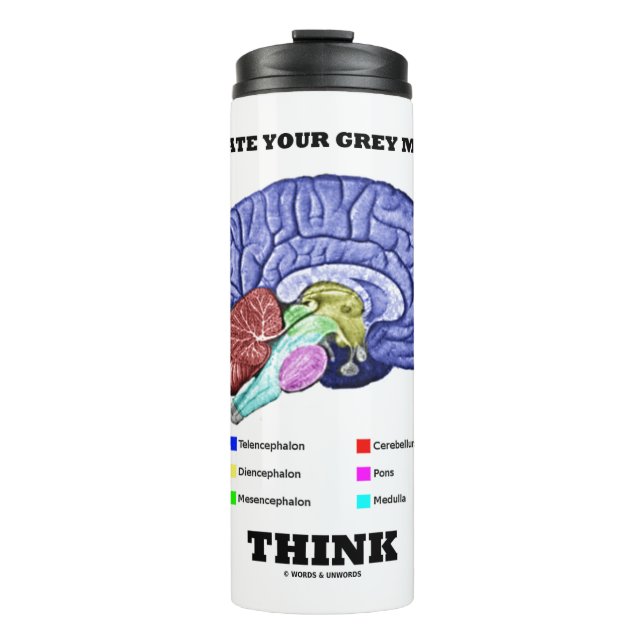 Termo Activar tu materia gris pensar cerebro anatómico (Anverso)