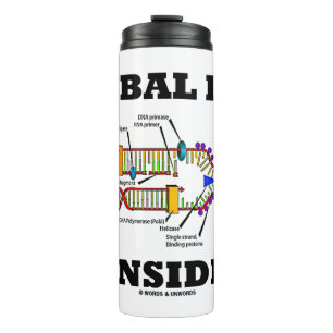 Termo ADN tribal dentro de la replicación del ADN Bioant