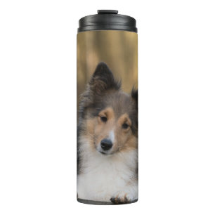 Termo Adorable Sheltie