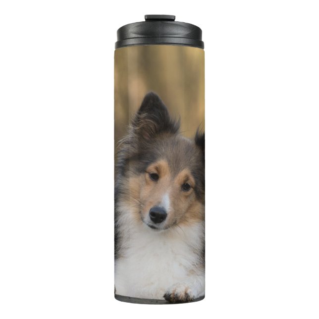 Termo Adorable Sheltie (Anverso)