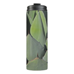Termo Agave verde deja foto botánica al suroeste
