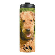 Airedale Terrier Perro Cachorro