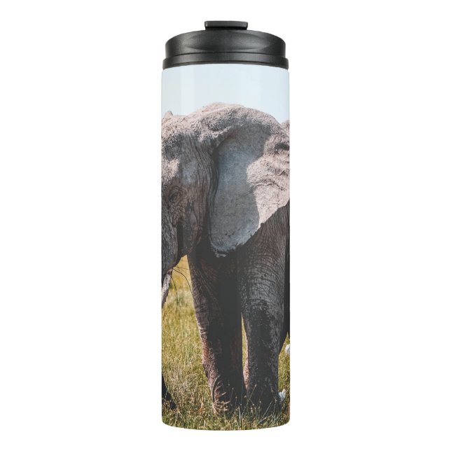 TERMO AMABLE ELEFANTE (Anverso)