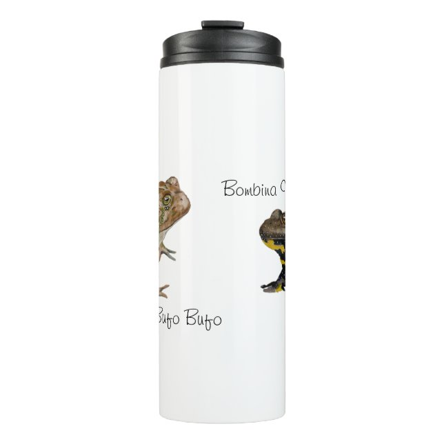 Termo Amphibians, Reptiles & Insects Watercolor (Anverso)