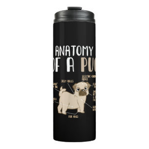 Termo Anatomía De Un Mascota De Perro De La Raza De Pug 