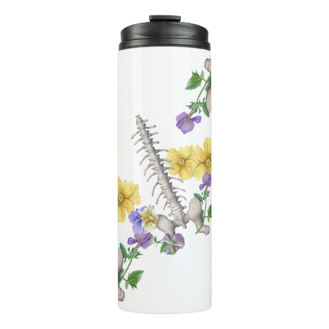 Termo Anatomía floral - Vértebras, Hueso de la cadera (Anverso)
