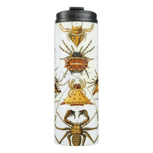 Termo Arañas o arácnidos vintage de Ernst Haeckel