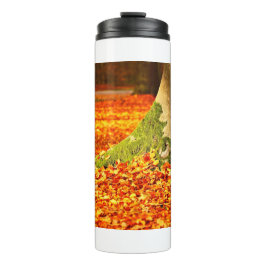 Termo Árbol de otoño 11