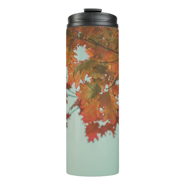 TERMO ÁRBOL ROJO (Anverso)