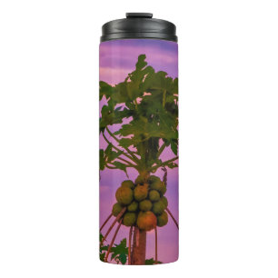 Termo Árbol Termal De Tumbler De Papaya Y Atardecer Bras