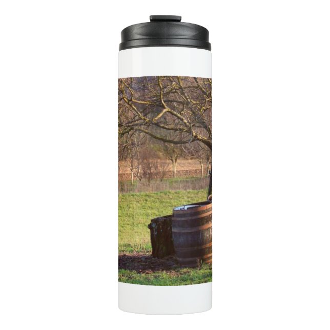 Termo Árbol y barrera 11 (Anverso)